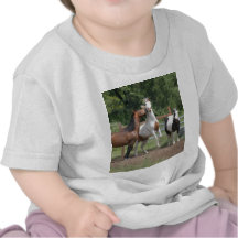 Thethreestooges Tshirts