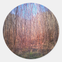 Thicket Sticker