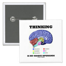 Thinking Is My Modus Operandi (Brain Anatomy) Pinback Buttons
