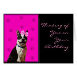 Thinking of You Boston Terrier greeting card