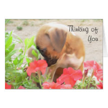 Thinking of you Boxer greeting card