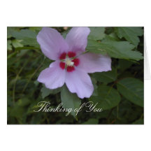 Thinking of You Card