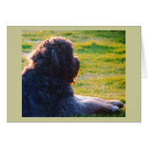Thinking of you card