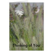 Thinking of You Card