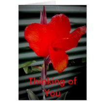 Thinking of You Cards