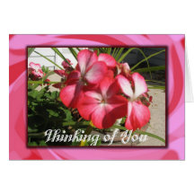 Thinking of You Cards