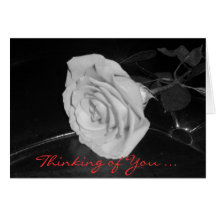 Thinking of You ... Cards