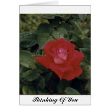 Thinking Of You - Customised Cards