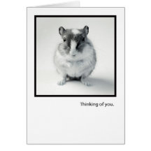 Thinking of You, Cute Mouse Photo Greeting Card