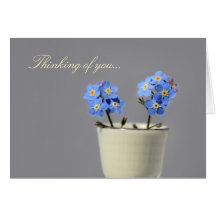 Thinking of You, Forget me not flowers Card