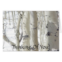  Thinking Of You! Greeting Card