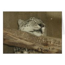 Thinking of You! Greeting Card