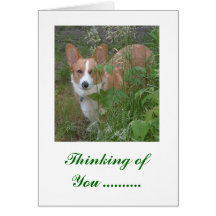 Thinking of You  ... Greeting Card
