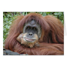 Thinking of you greeting cards