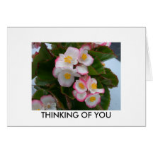 THINKING OF YOU GREETING CARDS