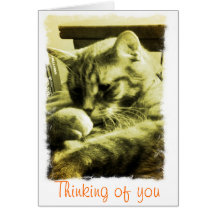 thinking of you greeting cards