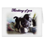 thinkingofyou4 greeting cards