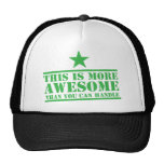 This is more AWESOME than you can handle Mesh Hat