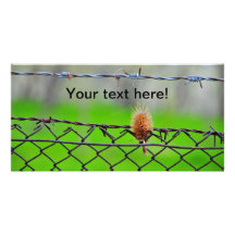 Thistle Photo Greeting Card