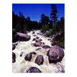 Thompson River - Rocky Mountain National Park Postcard