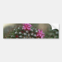 Thorny Colours Bumper Sticker