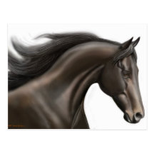 Thoroughbred Horse 2010 Pocket Calendar Postcard