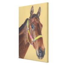 Thoroughbred Horse Canvas Art Stretched Canvas Prints