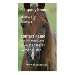 Thoroughbred Race Horse Business Card