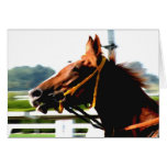 Thoroughbred race horse note card