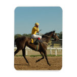 Thoroughbred Race Horse  Premium Magnet