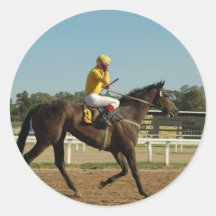 Thoroughbred Race Horse Stickers