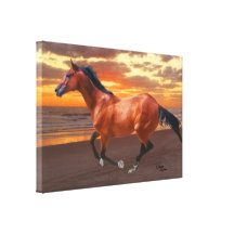 Thoroughbred sunrise Gloss Stretched Canvas Print