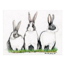 "Three Bunnies" Animal Art Postacard Post Card