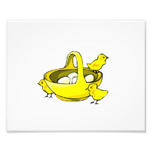 three chicks yellow basket white eggs.png photographic print