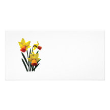 Three Daffodils Personalized Photo Card