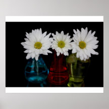 Three Daisies In Cute Jars Print