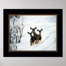 Three Deer Posters