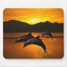 Three dolphins at sunset mousepads