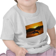 Three dolphins at sunset tshirts