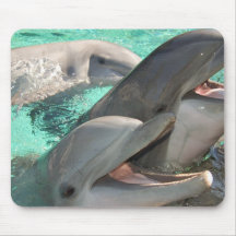 Three Dolphins Mouse Pads
