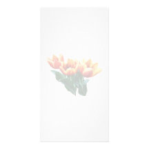 Three Orange and Red Tulips Customised Photo Card
