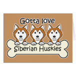 Three Siberian Huskies Greeting Cards