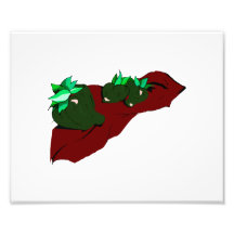 Three small green peppers on cloth graphic photographic print