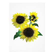 Three Sunflowers Invites