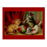 Three Tabby Cats and Ball Post Cards