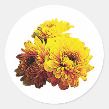 Three Yellow Mums Sticker