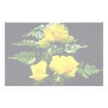 Three yellow roses stationery design