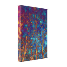 Through a Wood Darkly Stretched Canvas Prints