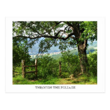 Through the Foliage Postcards