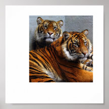 thumbnailCAQKIR4J, tigers Print